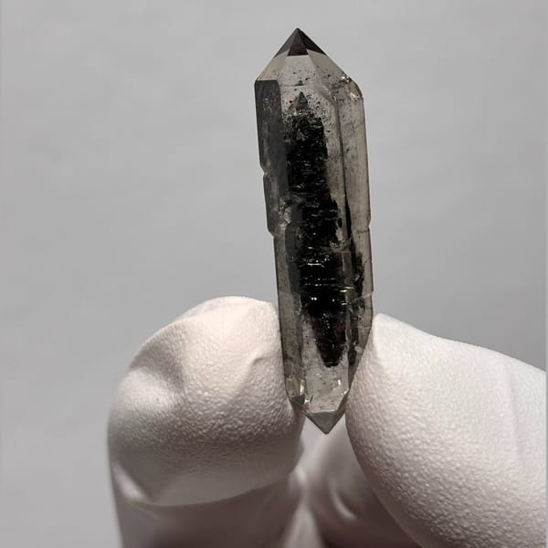 Sugar-core DT Yunnan AE — complete view