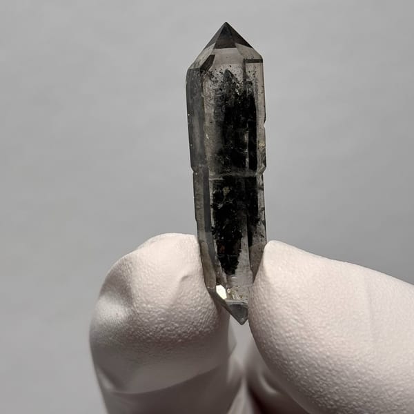 Sugar-core DT Yunnan AE — alternate view