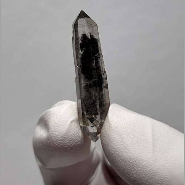 Sugar-core DT Yunnan AE — detail view