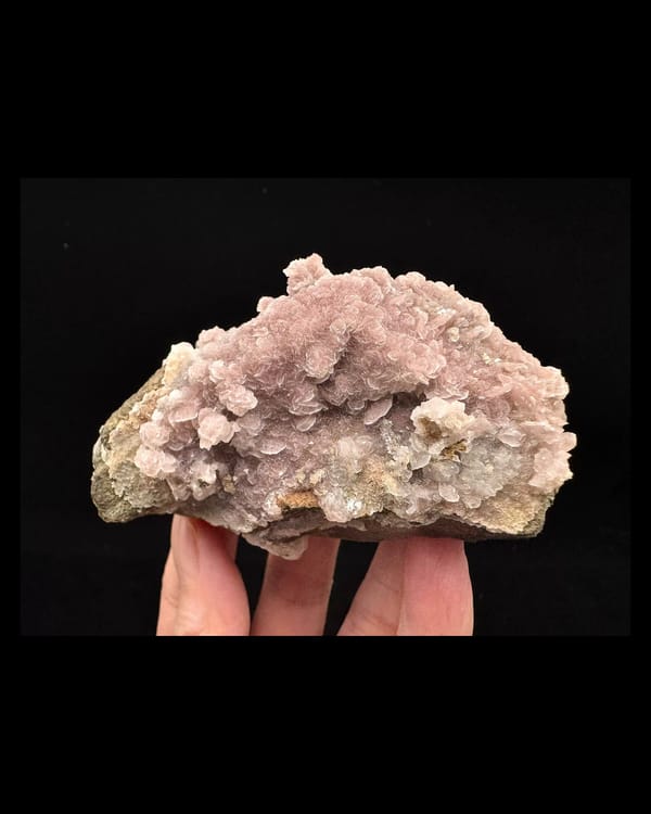 Complete crystal-covered front of pink-lilac petal calcite on yellow-coated quartz