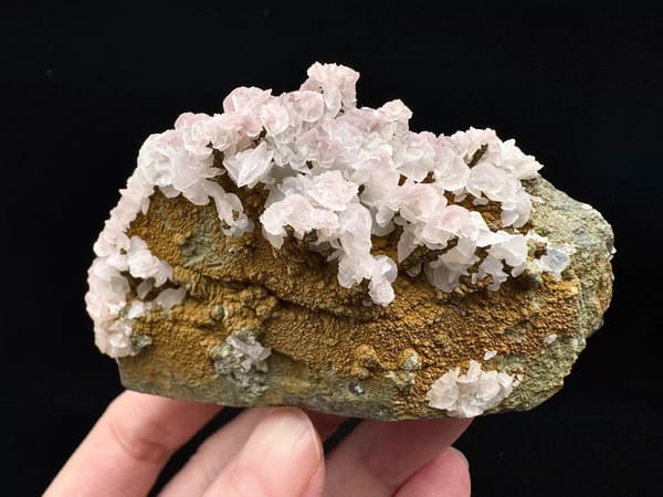 Complete yellow-brown reverse with pale calcite fans along the upper edge