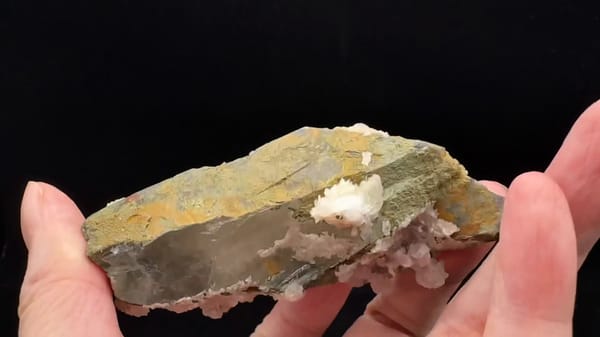Complete side and underside of the same specimen, source video15.5seconds, handheld at both ends