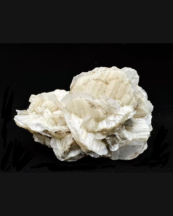 Complete front of the Fujian calcite cluster with layered creamy white petal-shaped crystal blades