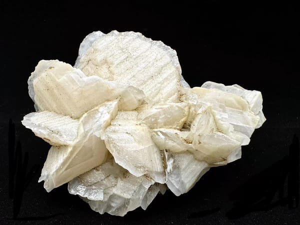 Different complete front angle showing ribbed white calcite blades and stepped rims, Fujian