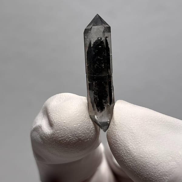 Sugar-Core DT Yunnan AF — complete view