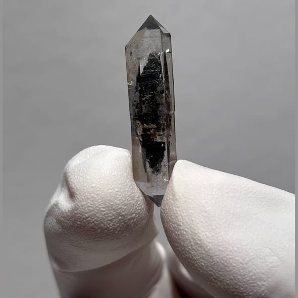 Sugar-Core DT Yunnan AF — alternate view