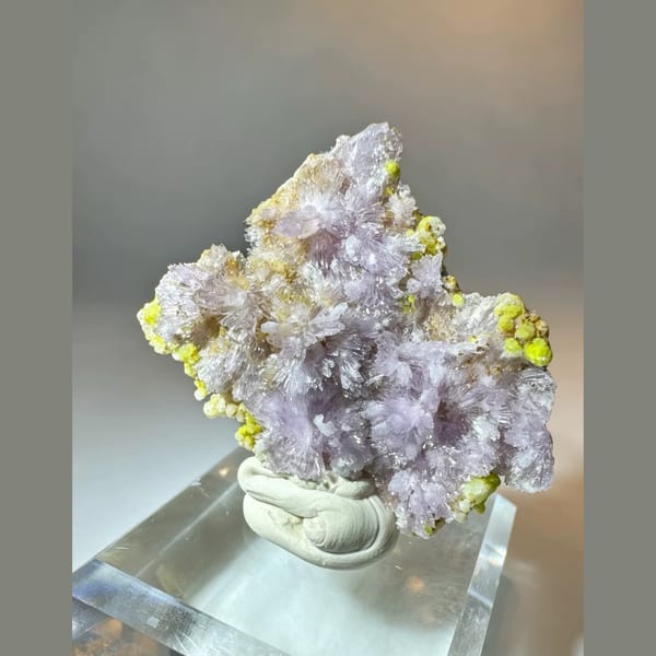 Purple Creedite with Yellow Carlhintzeite 4.5 cm — alternate view