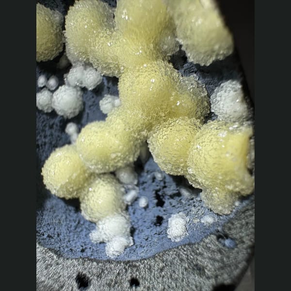 Yellow Calcite Balls on Blue-Grey Basalt Vietnam 7.0 cm — alternate view