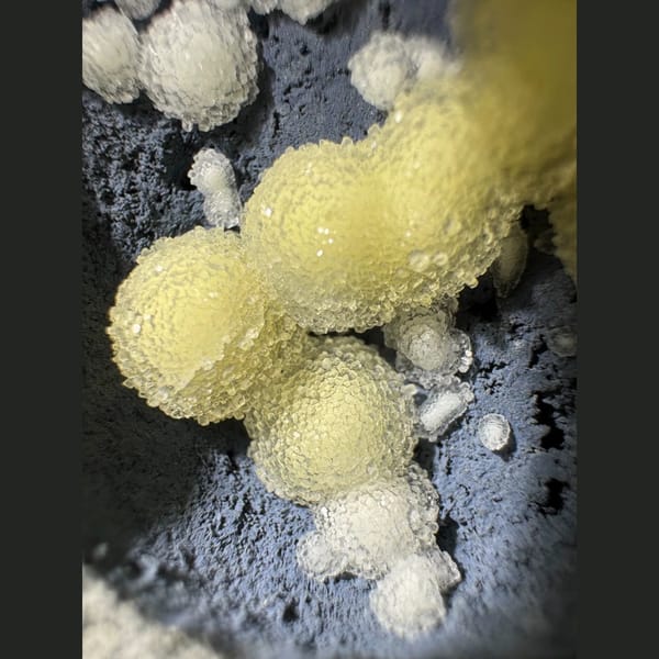 Yellow Calcite Balls on Blue-Grey Basalt Vietnam 7.0 cm — detail view