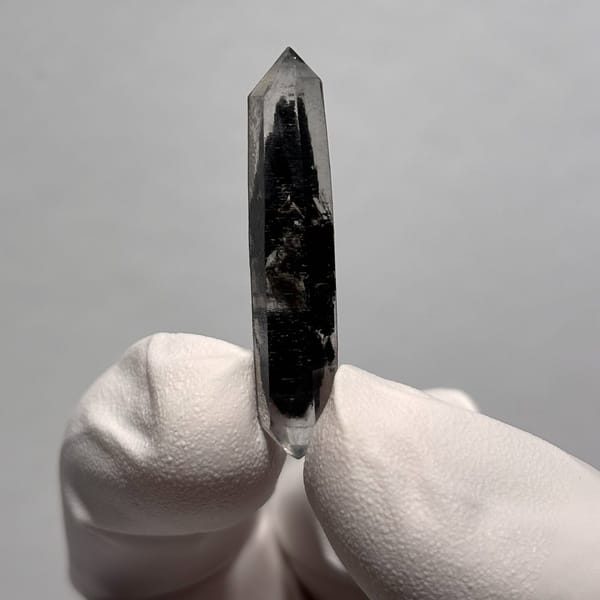 Sugar-Core DT Yunnan AH — complete view