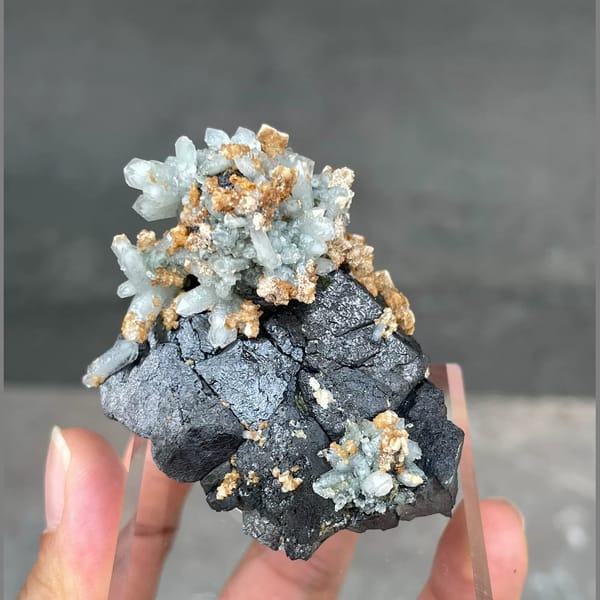 Pale green quartz crystals on black magnetite from Inner Mongolia — complete view