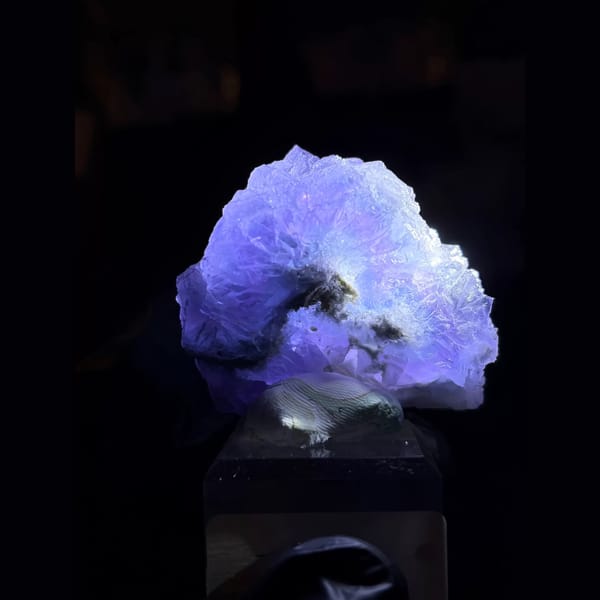 Blue-violet fluorite with white quartz — detail view
