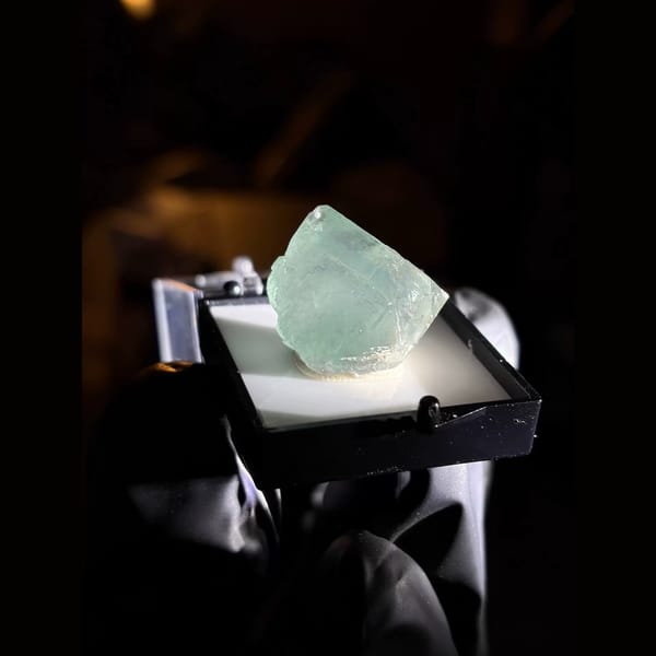 Morandi green fluorite crystal — complete view