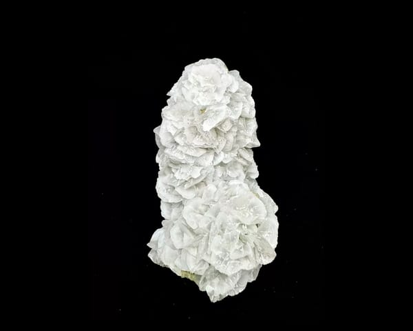 Complete front view of white petal-like calcite on green-coated quartz, Inner Mongolia