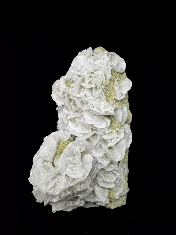 Complete oblique view of overlapping pale calcite blades and green-coated quartz