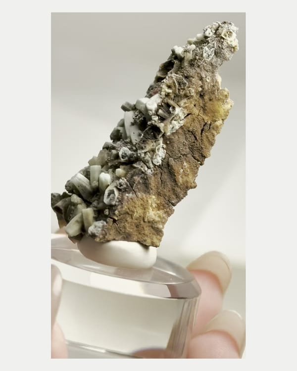 Complete crystal-covered face of pale plumbogummite on matrix