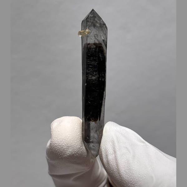 Sugar-core dt Yunnan 5.5 cm — alternate view