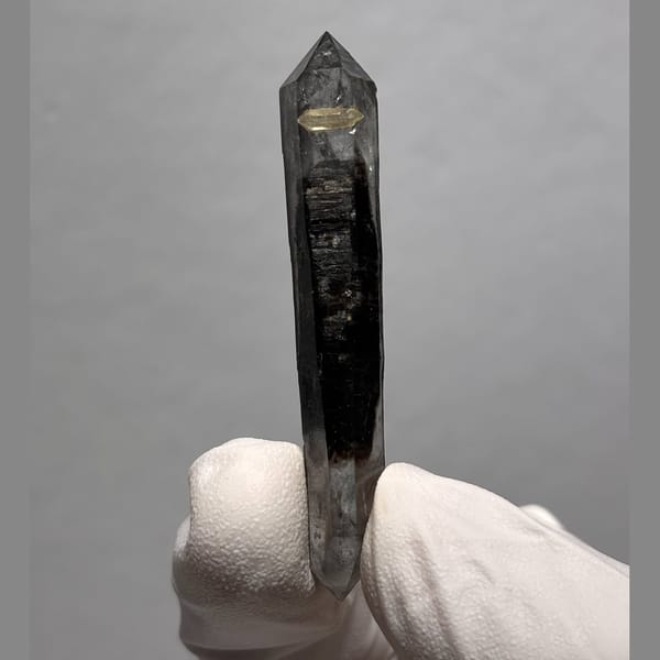 Sugar-core dt Yunnan 5.5 cm — alternate view
