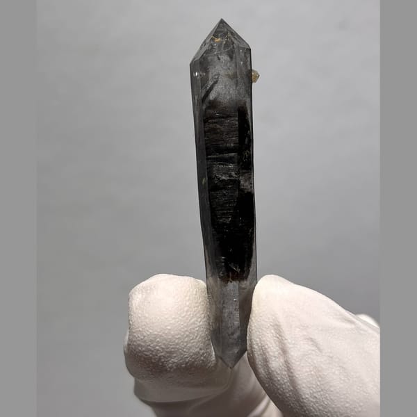 Sugar-core dt Yunnan 5.5 cm — detail view