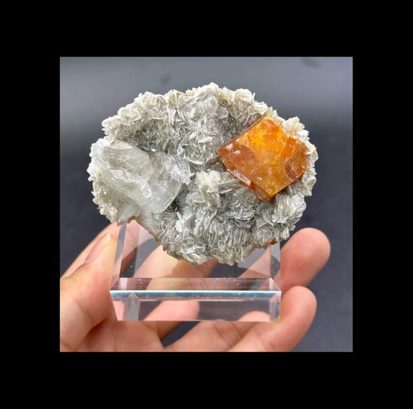 Complete front view of orange scheelite and pale aquamarine on silvery mica from Xuebaoding