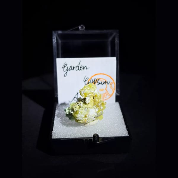 Mango-yellow Garden Gypsum creedite — complete view