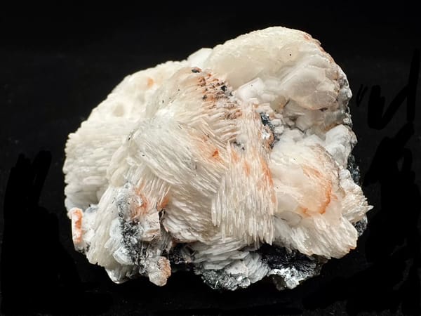 Complete upright view of pink-white calcite petals and dark hematite accents