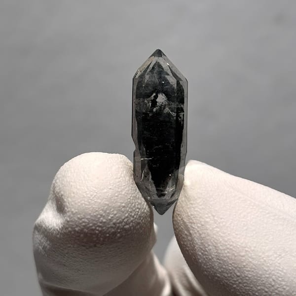 Sugar-core dt Yunnan 2.5 cm — alternate view