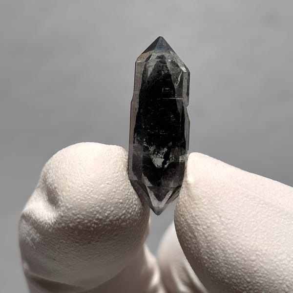 Sugar-core dt Yunnan 2.5 cm — alternate view