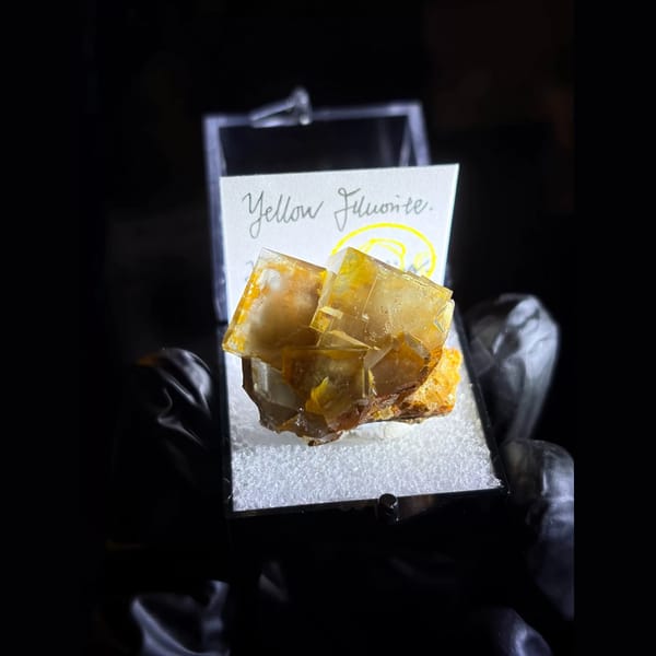 Honey-yellow fluorite cubes from Huairou — complete view