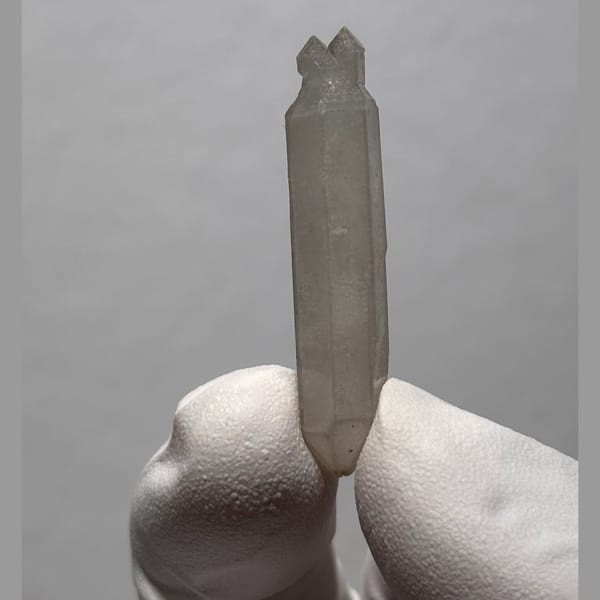 Etched sketch dt Yunnan 4.0 cm — complete view