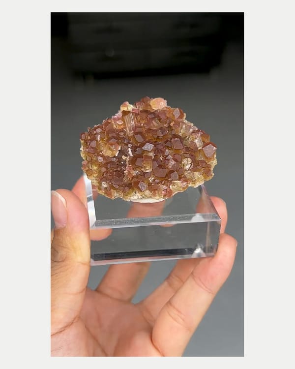 Complete front view of two-tone tourmaline crystal cluster