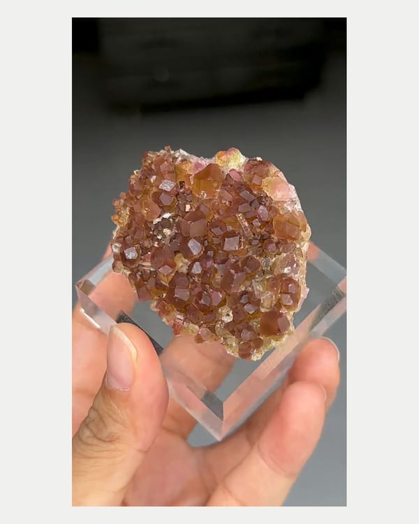 Complete left oblique view of two-tone tourmaline crystal cluster