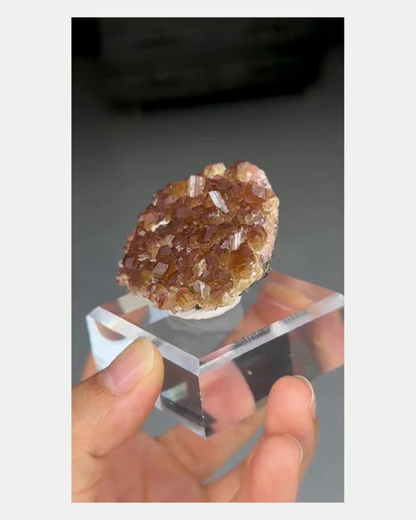 Complete reverse view of two-tone tourmaline crystal cluster