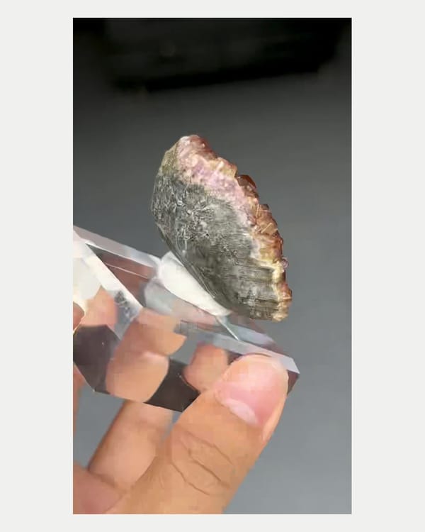 Complete right oblique view of two-tone tourmaline crystal cluster
