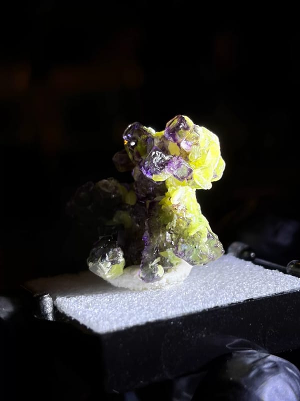 Whole side profile of fluorite with yellow muscovite
