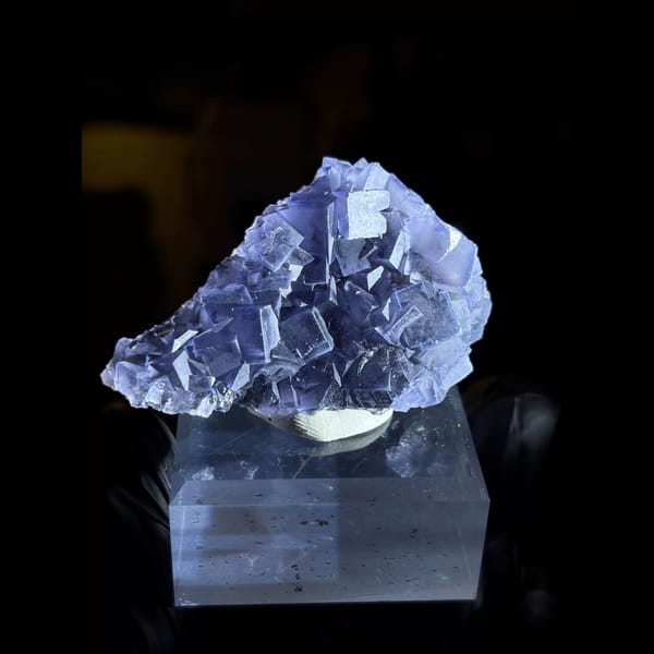 Black porcelain blue fluorite from Weishan — complete view