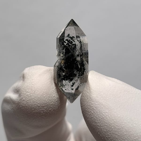 Sugar-core dt Yunnan 2.3 cm — alternate view