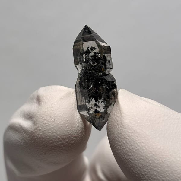 Sugar-core dt Yunnan 2.3 cm — alternate view