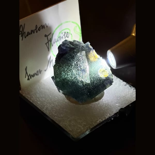Green phantom fluorite with bismuthinite — complete view