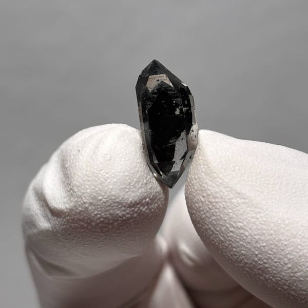 Sugar-core dt Yunnan 1.7 cm — alternate view
