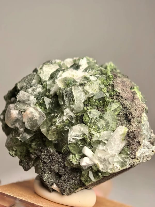 Green Phantom Apophyllite with Zeolite — India — individual mineral specimen view 1
