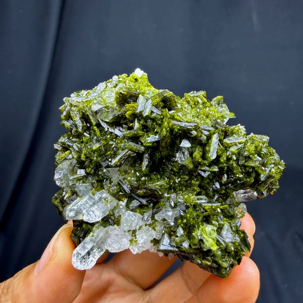 Dark green bladed epidote with clear quartz from Sichuan — complete view