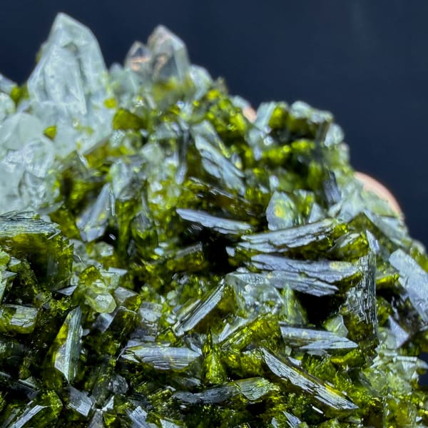 Dark green bladed epidote with clear quartz from Sichuan — alternate view