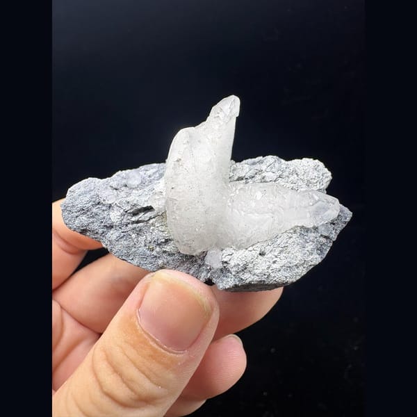 White dogtooth calcite on grey matrix from Longyan, Fujian — complete view
