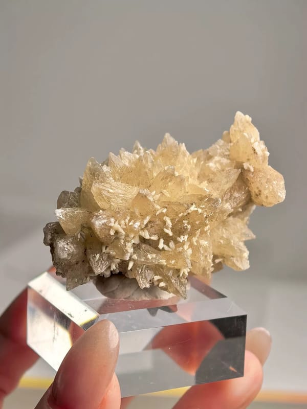 Honey Dogtooth Calcite Cluster — Daye, Hubei — individual mineral specimen view 1