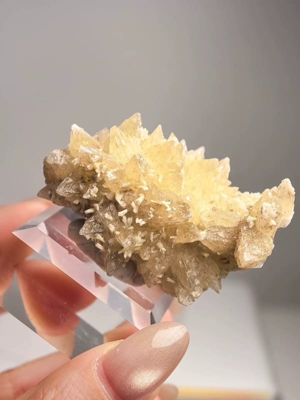 Honey Dogtooth Calcite Cluster — Daye, Hubei — individual mineral specimen view 2