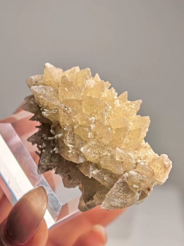 Honey Dogtooth Calcite Cluster — Daye, Hubei — individual mineral specimen view 3