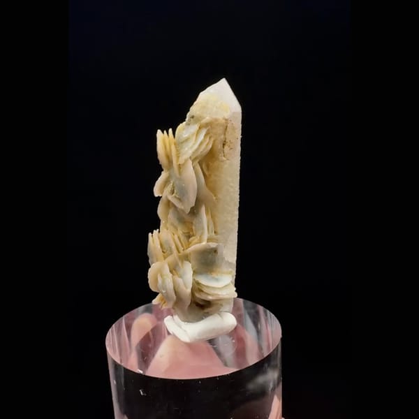 Quartz point with cream-yellow petal calcite from Inner Mongolia — complete view