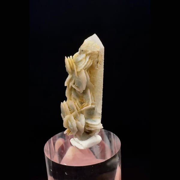 Quartz point with cream-yellow petal calcite from Inner Mongolia — alternate view