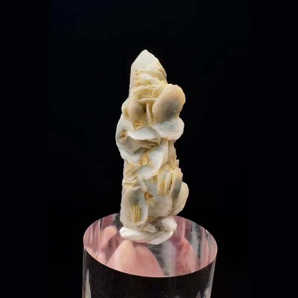 Quartz point with cream-yellow petal calcite from Inner Mongolia — alternate view